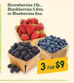 Sprouts Farmers Market Strawberries 1lb., Blackberries 5.6oz. or Blueberries 6oz offer