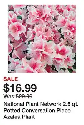 Tractor Supply Company National Plant Network 2.5 qt. Potted Conversation Piece Azalea Plant offer