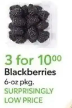 Publix Blackberries offer