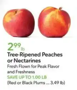 Publix Tree-Ripened Peaches or Nectarines offer