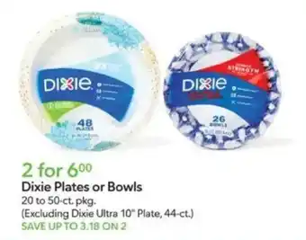 Publix Dixie Plates or Bowls offer