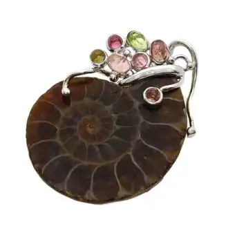 Walmart Pre-Owned Ammonite Tourmaline Pendant Silver 18.3g for Women (Good) offer