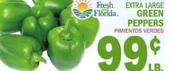 Bravo Supermarkets FRESH FROM FLORIDA EXTRA LARGE GREEN PEPPERS offer