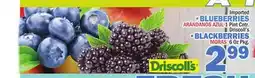 Bravo Supermarkets BLUEBERRIES 1 Pint Cntr. BLACKBERRIES 6 Oz Pkg offer