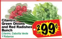 Superior Grocers Cilantro Green Onions and Red Radishes Bunch offer