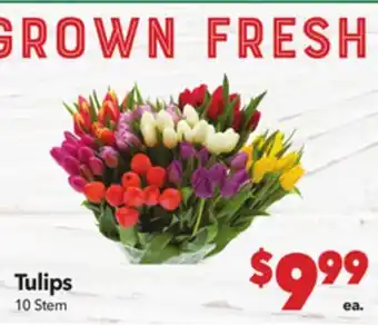 Vallarta Supermarkets Tulips offer