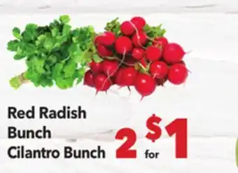 Vallarta Supermarkets Red Radish Bunch Cilantro Bunch offer