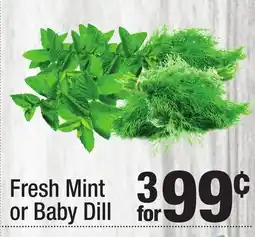 Super King Markets Fresh Mint or Baby Dill offer