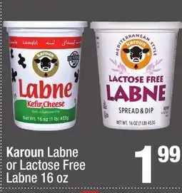 Super King Markets Karoun Labne or Lactose Free Labne offer