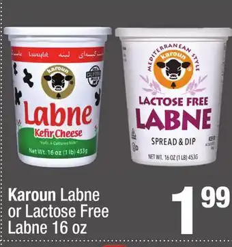 Super King Markets Karoun Labne or Lactose Free Labne offer