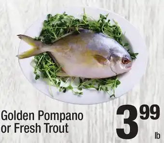 Super King Markets Golden Pompano or Fresh Trout offer