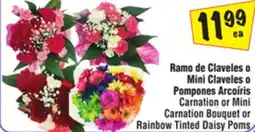 El Super Carnation or Mini Carnation Bouquet or Rainbow Tinted Daisy Poms offer