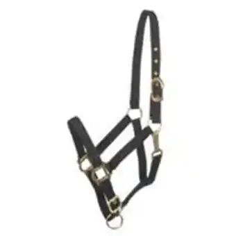 Walmart Gatsby Nylon Breakaway Halter Ovrsz Black offer