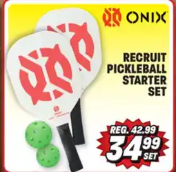 Big 5 Onix Recruit Pickleball Starter Set offer