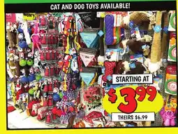 Ollie's CAT AND DOG TOYS offer