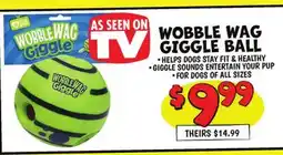 Ollie's WOBBLE WAG GIGGLE BALL offer