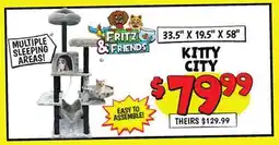 Ollie's FRITZ & FRIENDS KITTY CITY offer