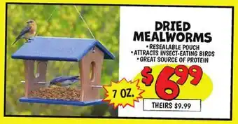 Ollie's DRIED MEALWORMS offer