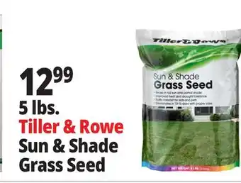 Ocean State Job Lot Tiller & Rowe Sun & Shade Grass Seed 5 lbs offer