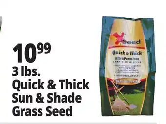 Ocean State Job Lot 3 lbs. Quick & Thick Sun & Shade Grass Seed offer