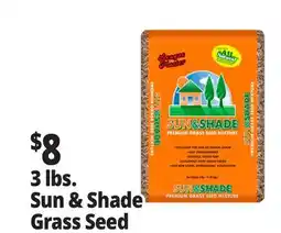 Ocean State Job Lot Premium Quality Sun & Shade Grass Seed Mixture 3 lbs offer