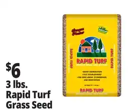 Ocean State Job Lot Rapid Turf Premium Grass Seed Mixture 3 lbs offer