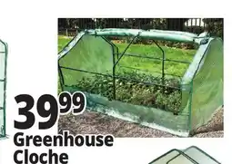 Ocean State Job Lot Tiller & Rowe Greenhouse Cloche offer