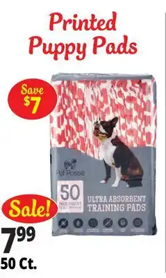 Ocean State Job Lot Printed Puppy Pads offer