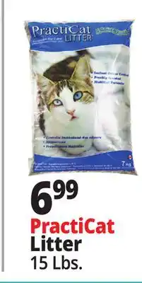 Ocean State Job Lot Premium Scoopable Cat Litter 15 lbs offer