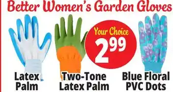 Ocean State Job Lot Garden Grove Womens Gloves offer