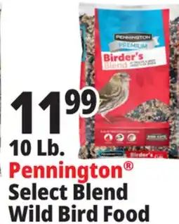 Ocean State Job Lot 10 Lb. Pennington Select Blend Wild Bird Food offer