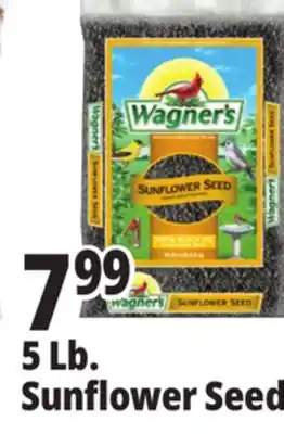 Ocean State Job Lot Wagner's Black Oil Sunflower Seed Wild Bird Food 5 lbs offer