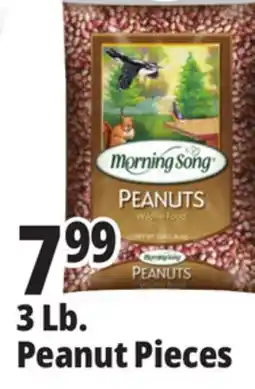 Ocean State Job Lot Morning Song Wildlife Food Peanuts 3 lbs offer