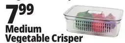 Ocean State Job Lot Medium Vegetable Crisper offer