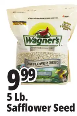 Ocean State Job Lot Wagner's Safflower Seed Deluxe Wild Bird Food offer