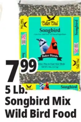 Ocean State Job Lot Better Bird Songbird Better Blends Food 5 lbs offer