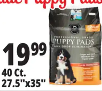 Ocean State Job Lot Huntington Pet Products Professional Grade 27.5 x 35 Puppy Pads with Odor Eliminators 40 Count offer