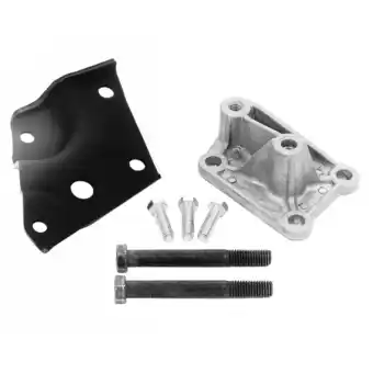 Walmart New Ford Racing A/C Eliminator Kit for 1985-1993 Mustang, Vehicle Fitment Guaranteed offer