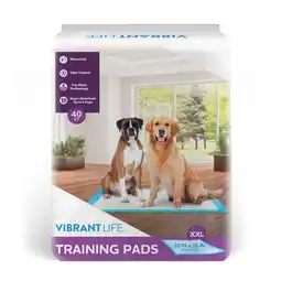 Walmart Vibrant Life Training Pads, Dog & Puppy Pads, XXL, 30 in x 36 in, 40 Count offer