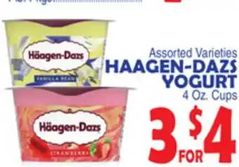 Bravo Supermarkets HAAGEN-DAZS YOGURT offer