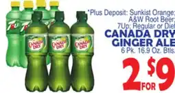 Bravo Supermarkets CANADA DRY GINGER ALE offer