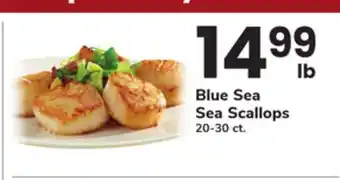 ACME Blue Sea Sea Scallops offer