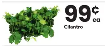 ACME Cilantro offer