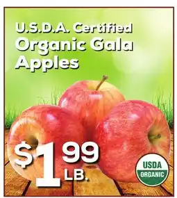 DeCicco & Sons Organic Gala Apples offer