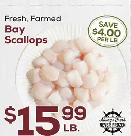 DeCicco & Sons Bay Scallops offer