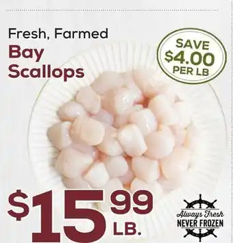 DeCicco & Sons Bay Scallops offer