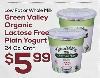 DeCicco & Sons Green Valley Organic Lactose Free Plain Yogurt offer