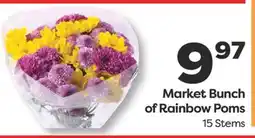 Weis Markets Market Bunch of Rainbow Poms offer