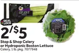 Stop&Shop Stop & Shop Celery or Hydroponic Boston Lettuce offer