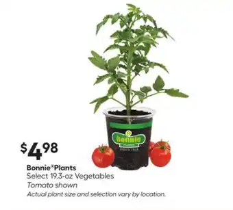 Lowe's Bonnie Plants offer